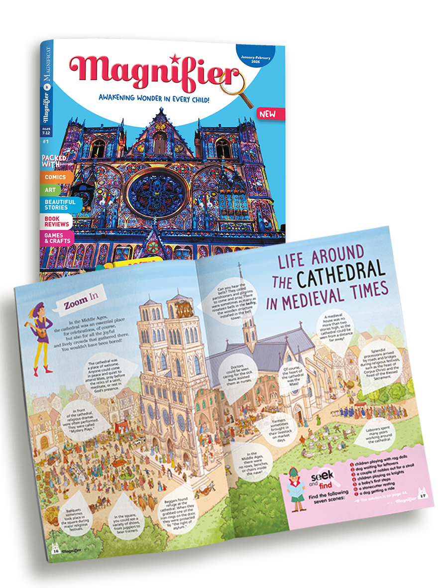Magnifier The Cathedrals
